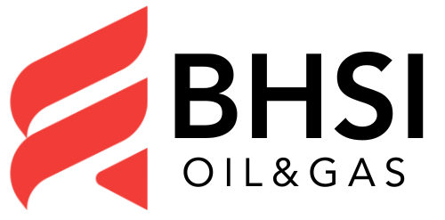 BHSI Logo